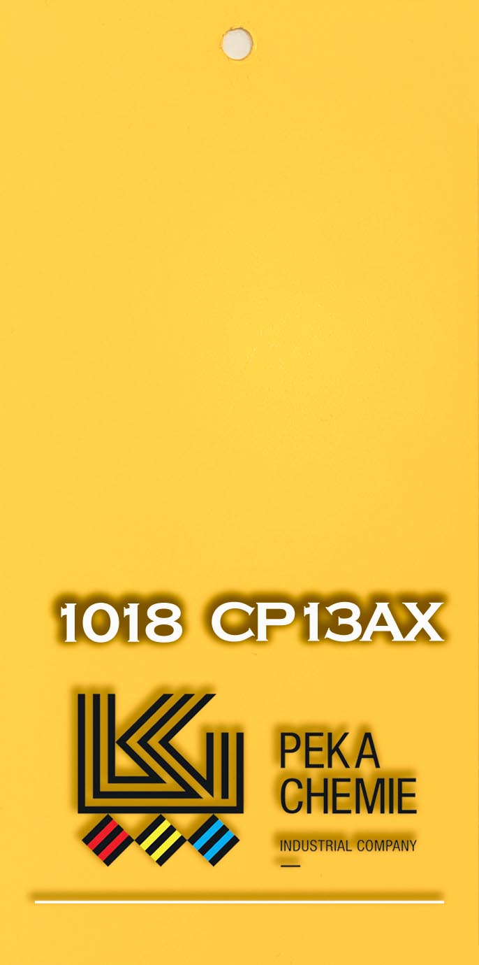 CP13AX 1018