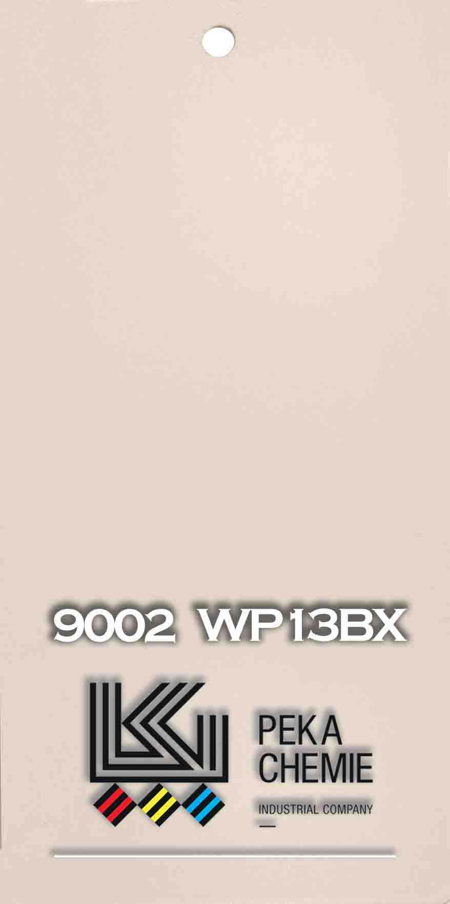 WP13BX 9002